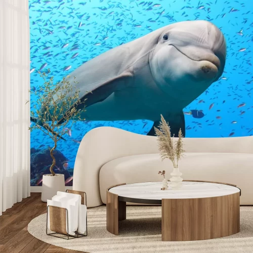 Sticker Delfin inmitten eines Schwarmes