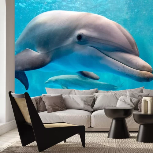 Sticker Zwei Delfine unter Wasser