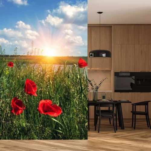 Fototapete Rote Mohnblumen auf einer Wiese bei Sonnenaufgang
