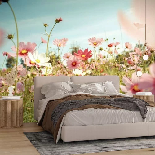 Fototapete Rosa Wildblumen