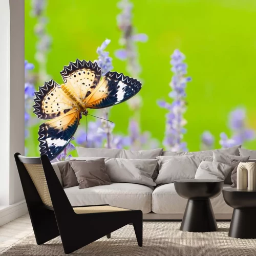 Sticker Schmetterling mit Lavendel auf grünem Hintergrund