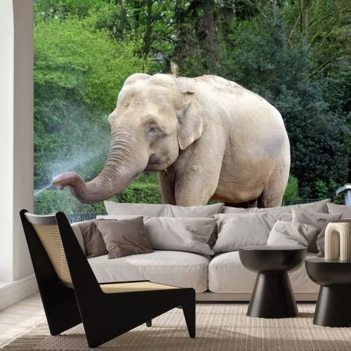 Sticker Elefant schüttet Wasser