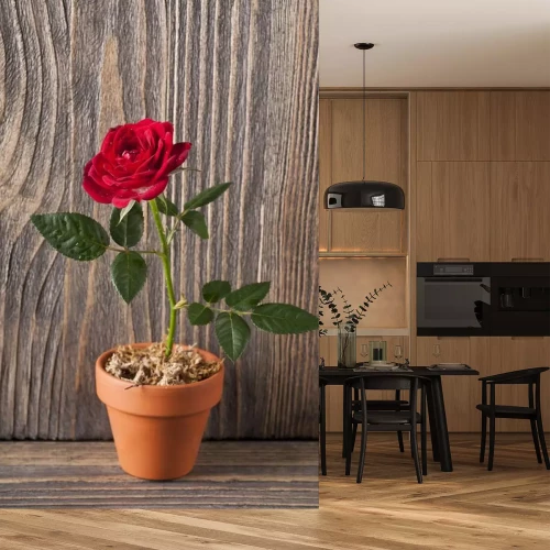 Sticker Rose in einem Topf auf einem hölzernen Hintergrund