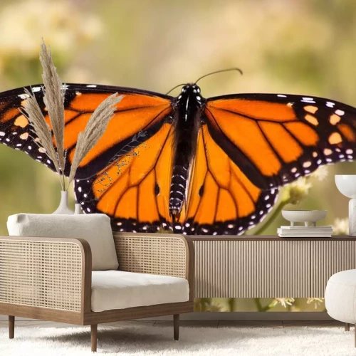 Sticker Schmetterling in Vergrößerung