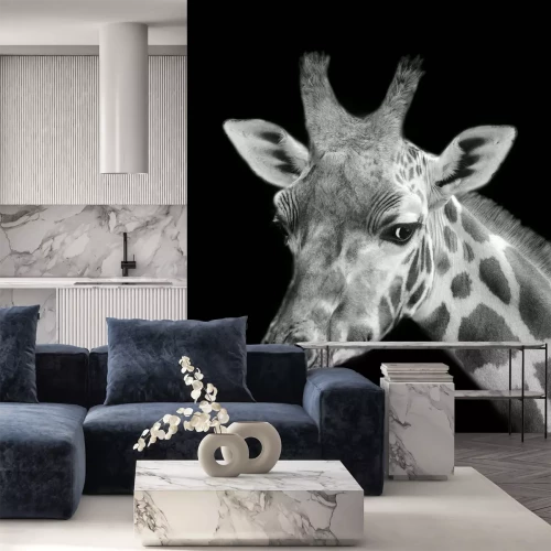 Sticker Schwarz-weiße Giraffe auf schwarzem Hintergrund