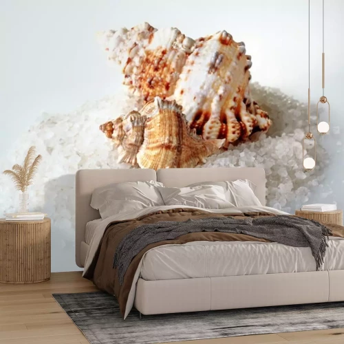 Sticker Seashell auf dem Hügel von Meersalz isoliert auf weißem Hintergrund