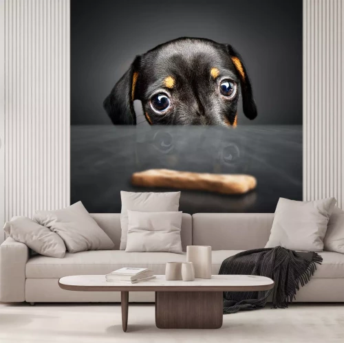 Sticker Hunde Welpe mit Blick auf ein Leckerli