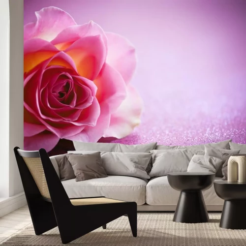 Sticker Rose auf lila Hintergrund