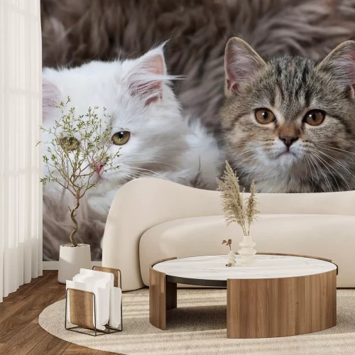 Sticker Katze mit aufgerichteten Ohren in einer flauschigen Decke