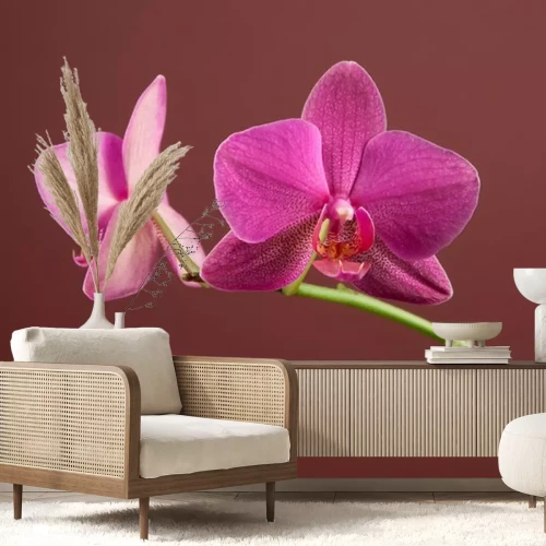 Sticker Orchidee auf braunem Hintergrund