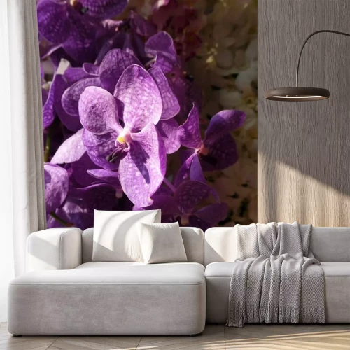 Sticker Lila Orchidee in der Sonne