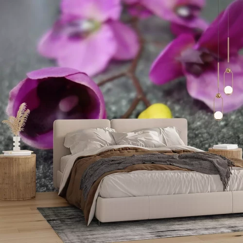 Sticker Orchidee mit Knospen auf einem Stein