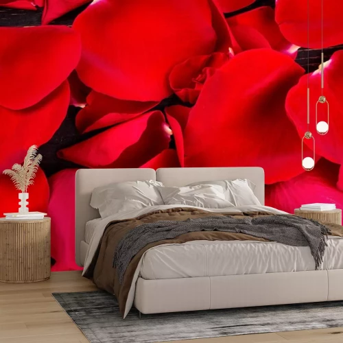 Sticker Rote Rosen und ihre Blütenblätter