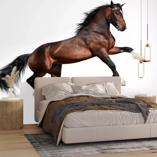 Sticker Wilde Tiere Brauner Mustang