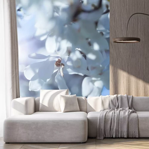 Sticker Weiße Magnolien im Sonnenlicht