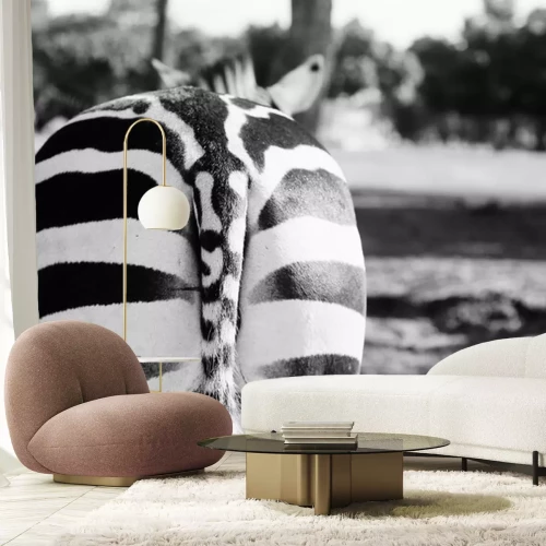 Sticker Schwanz eines Zebras auf einer Schwarz-Weiß-Fotografie