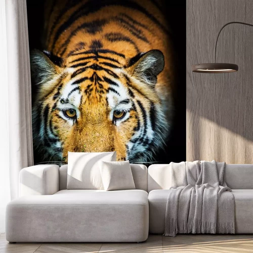 Sticker Tiger mit weißen Schnurrhaaren schwarzer Hintergrund