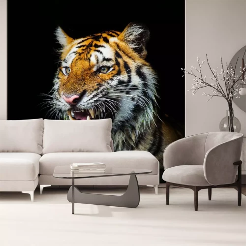 Sticker Bedrohliches Gesicht eines Tigers mit offenem Maul