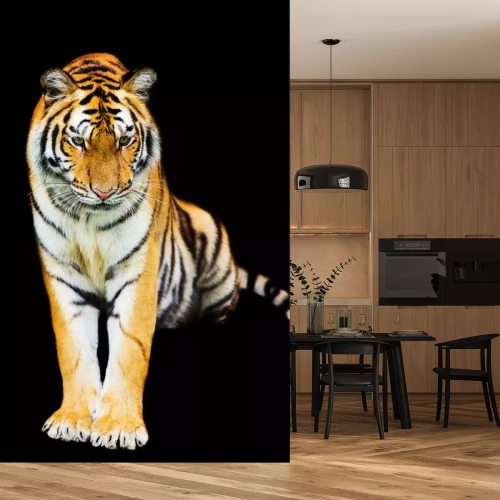 Sticker Tiger mit schwarzen Streifen taucht aus dem Schatten auf