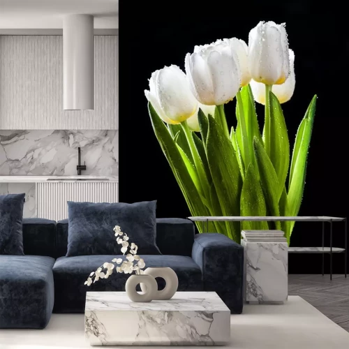 Sticker Nasse weiße Tulpen auf schwarzem Hintergrund