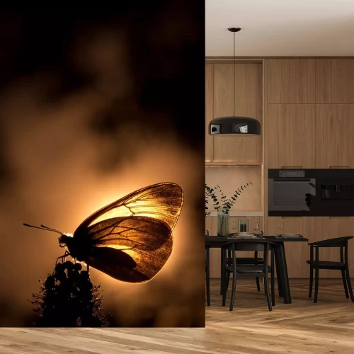 Sticker Schmetterling vor dem Hintergrund der Sonne