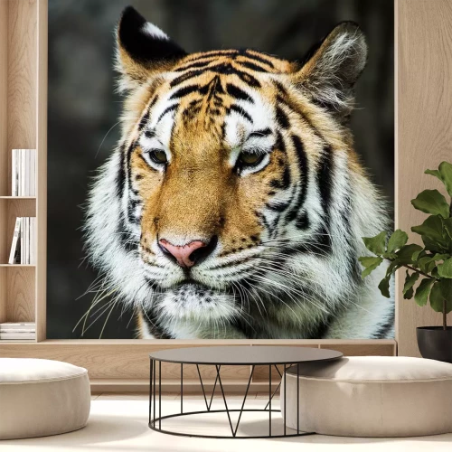 Sticker Tiger: Porträt im Grünen