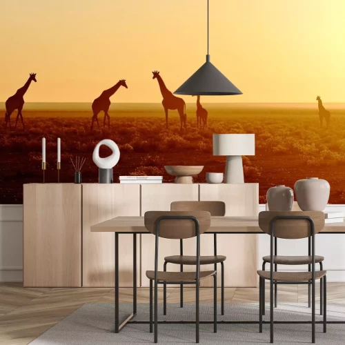 Sticker Giraffen im Schein der untergehenden Sonne