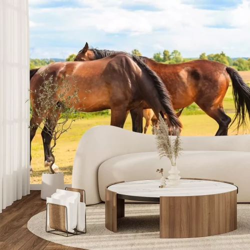 Sticker Verliebte Pferde auf einer grünen Lichtung