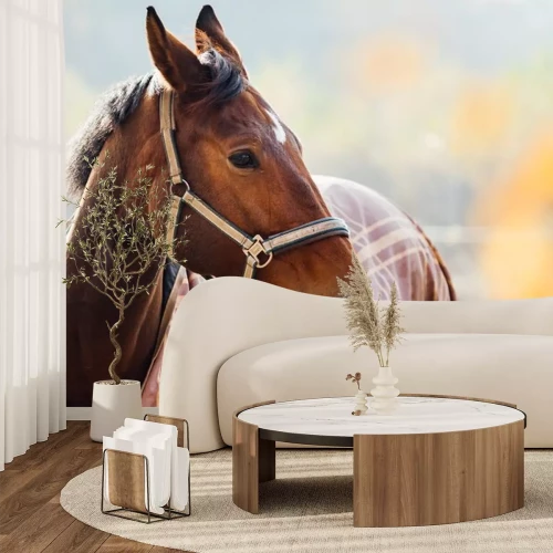 Sticker Pferdekopf mit beigem Zaumzeug in Nahaufnahme