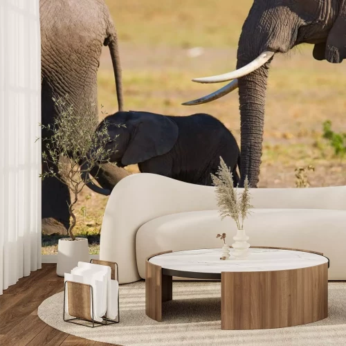 Sticker Elefanten Safari und Elefantenbaby