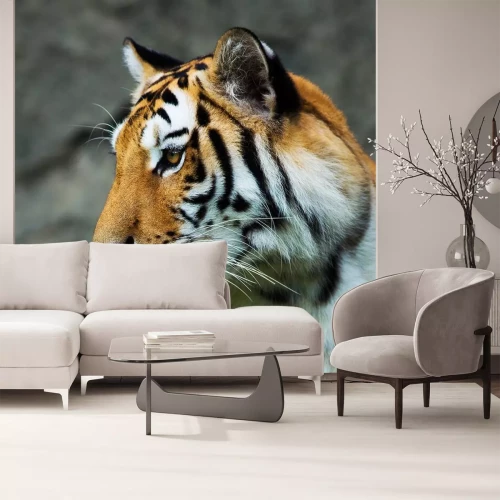 Sticker Tiger mit herausgestreckter Zunge unscharfer Hintergrund