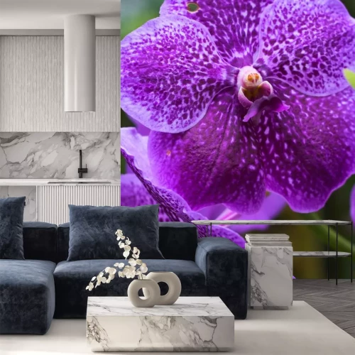 Sticker Gefleckte Orchidee in Nahaufnahme