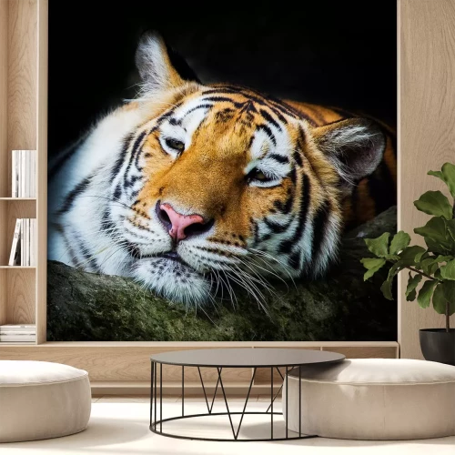 Sticker Tiger lehnt sich an einen Baumstamm und ruht