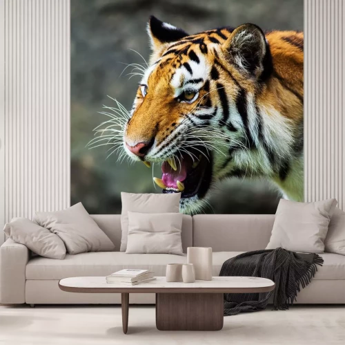 Sticker Tiger mit offenem Maul Porträt