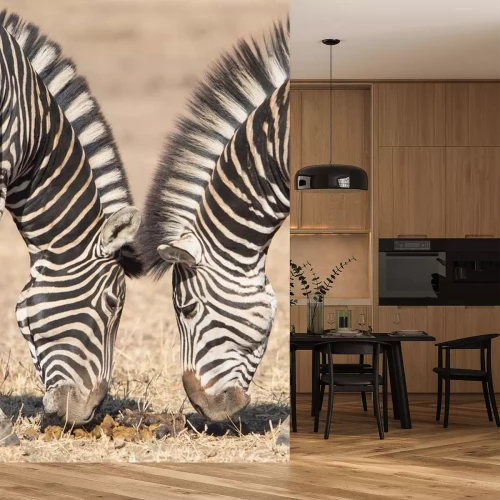 Sticker Zwei Zebras fressen Gras