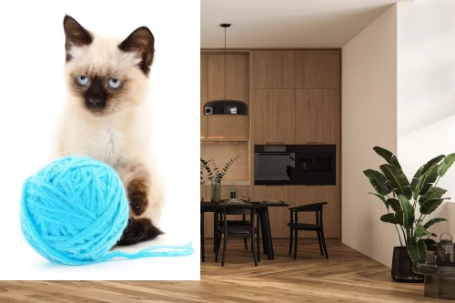 Visualisierung des Produkts