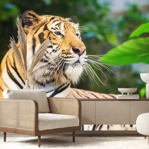 Sticker Bengal-Tiger inmitten des Grüns