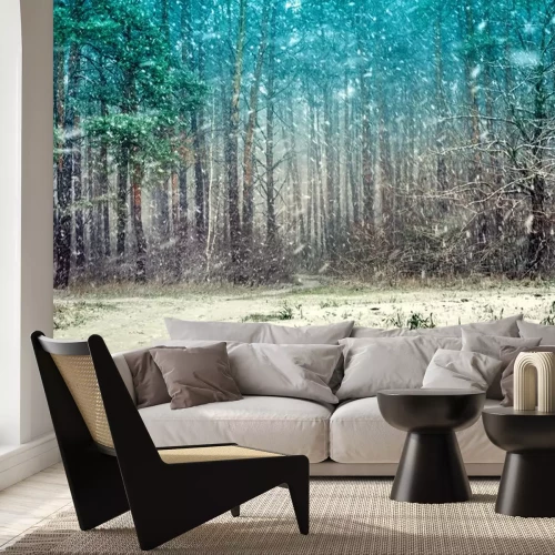 Sticker Erster Schnee im Kiefernwald