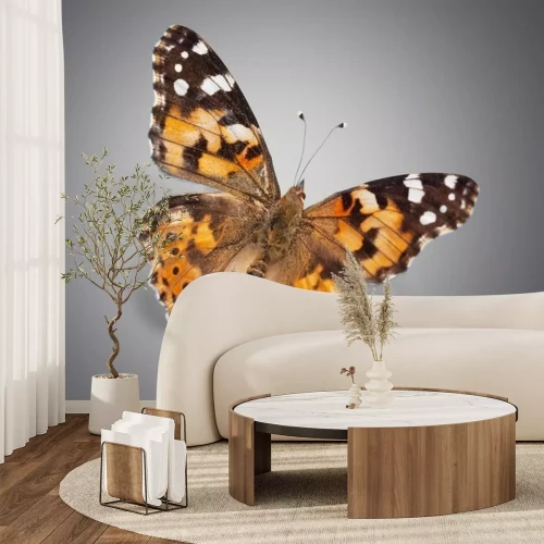 Sticker Realistischer Schmetterling auf grauem Hintergrund