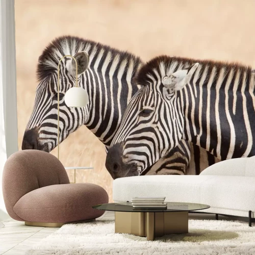 Sticker Zwei Zebras auf einem Savannenhintergrund