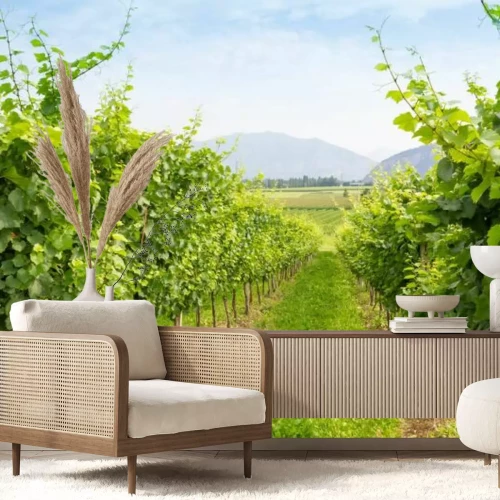 Fototapete Trauben in einem Weinberg