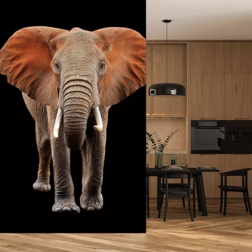 Sticker Realistischer Elefant auf schwarzem Hintergrund