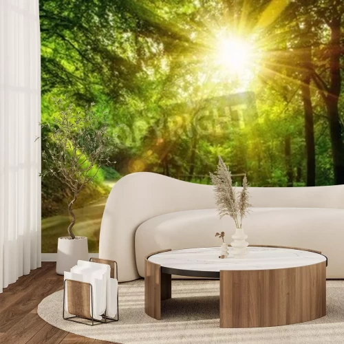 Fototapete Sonnenaufgang Weg und grüne Bäume