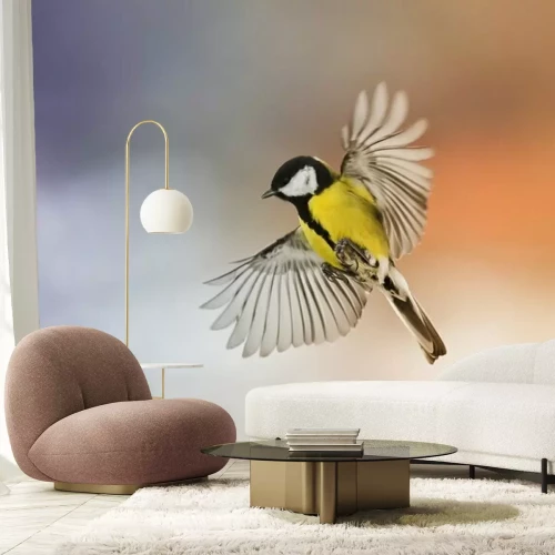 Fototapete Eine Meise vor unscharfem Hintergrund