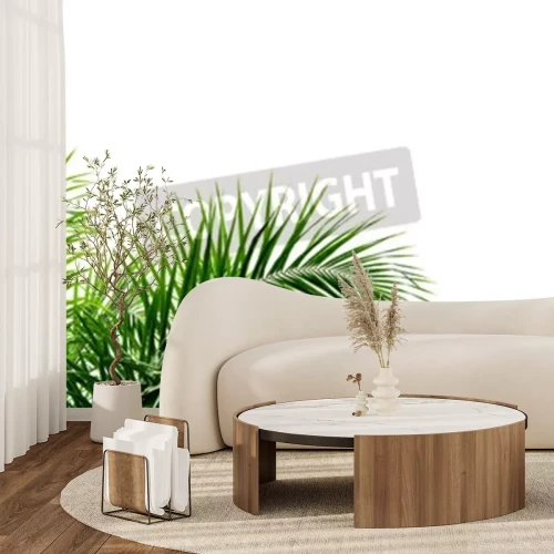 Fototapete Palmenblätter auf weißem Hintergrund