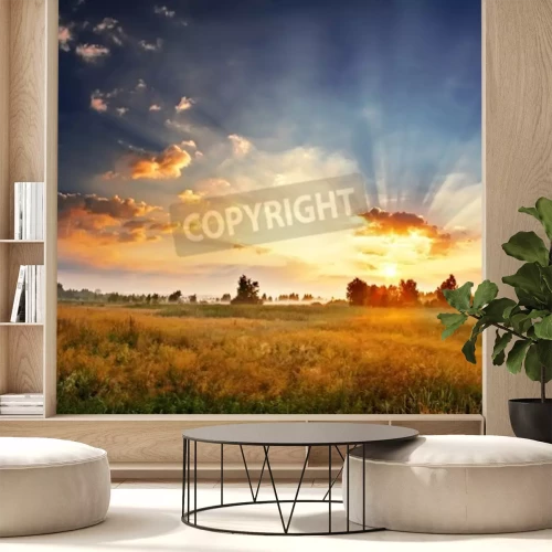 Fototapete Sonnenuntergang über wildem Feld