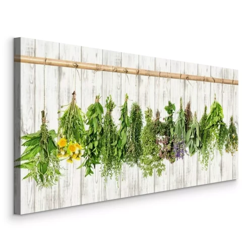 Bild Heilkräuter. Kräuter-Apotheke. Lavendel, Löwenzahn, Brennnessel