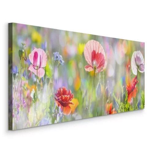 Bild Sommer Wiese mit roten Mohnblumen