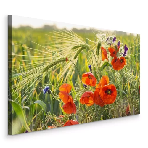 Bild Mak polny pośród ziół i zboża