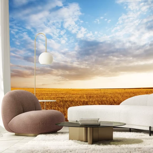 Fototapete Himmel über goldenem Feld